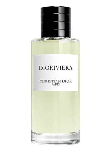 dioriviera perfume buy online.